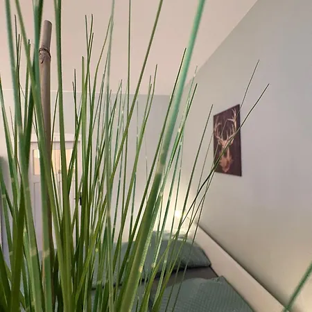 Koenigshuette Lägenhet