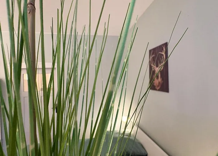 Koenigshuette Lägenhet